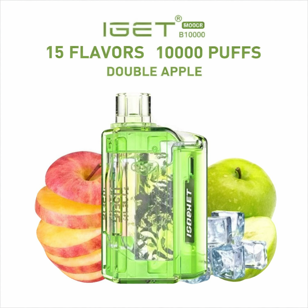 IGET FLARE B10000 – 10000 Puffs Disposable Vape