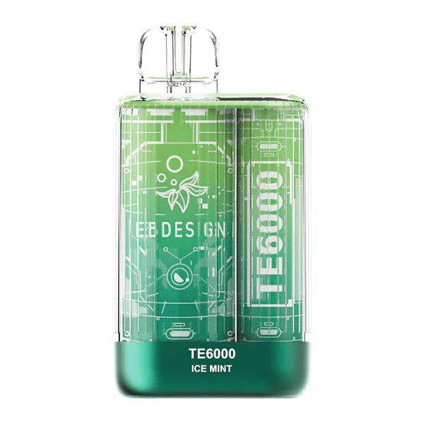 Elfbar TE 6000