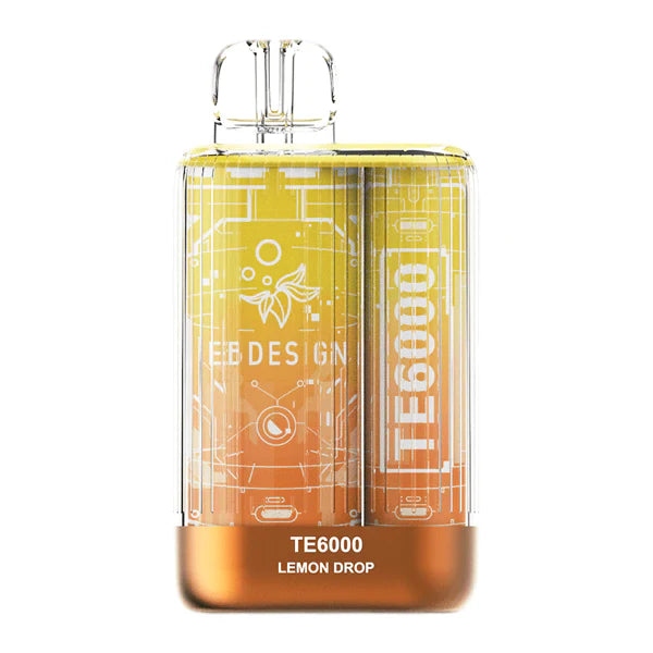 Elfbar TE 6000