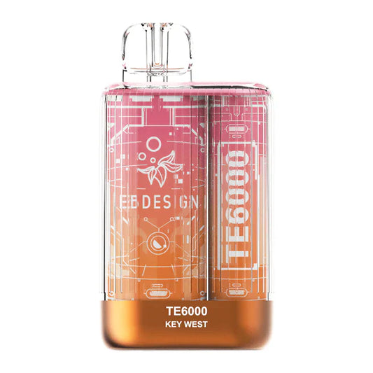 Elfbar TE 6000