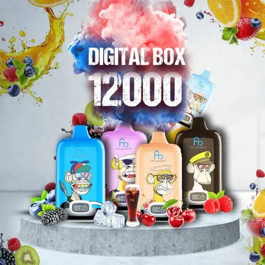 RandM Box 12000